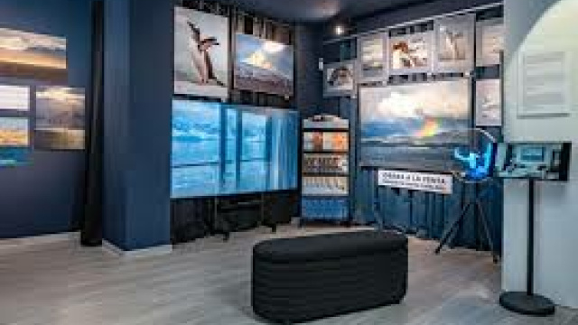 GC Gallery Lloret - Expo: Belleza de la Antártida