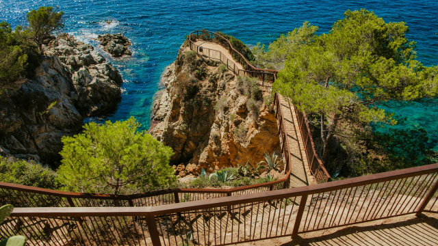 Mirador